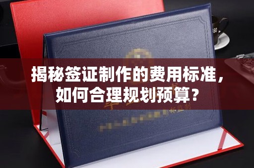 高阳揭秘签证制作的费用标准，如何合理规划预算？