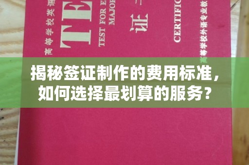 高阳揭秘签证制作的费用标准，如何选择最划算的服务？
