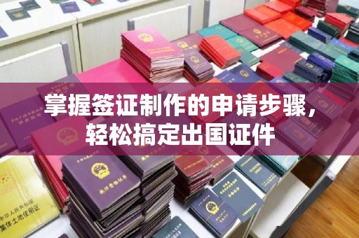 高阳掌握签证制作的申请步骤，轻松搞定出国证件