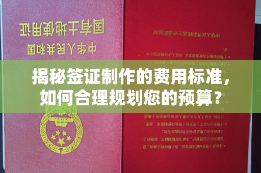 高阳揭秘签证制作的费用标准，如何合理规划您的预算？