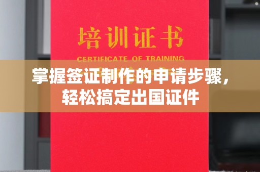 高阳掌握签证制作的申请步骤，轻松搞定出国证件