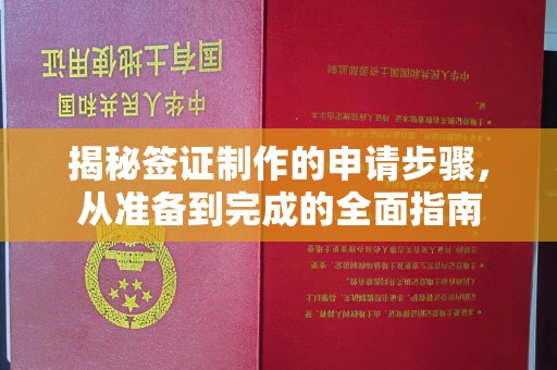 高阳揭秘签证制作的申请步骤，从准备到完成的全面指南