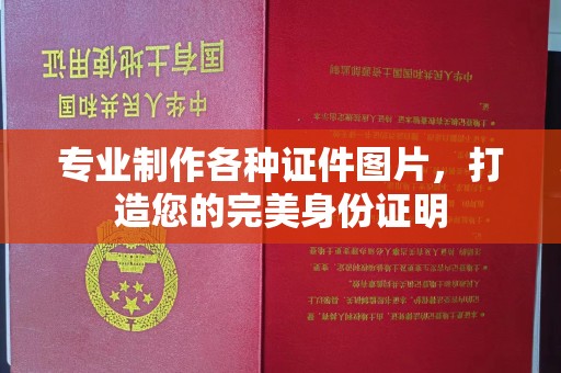 高阳专业制作各种证件图片，打造您的完美身份证明